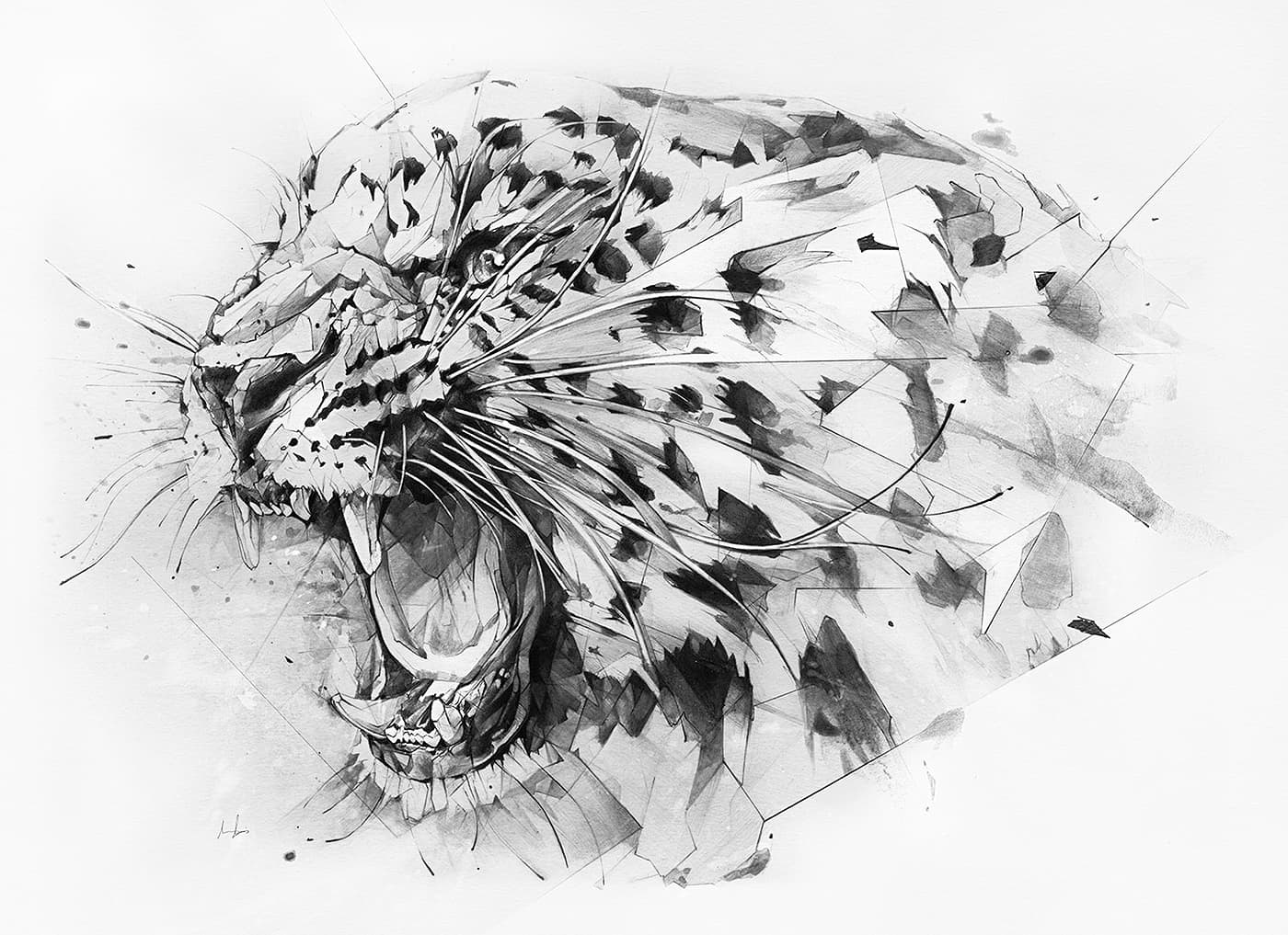 Roaring leopard illustration for Derwent packaging