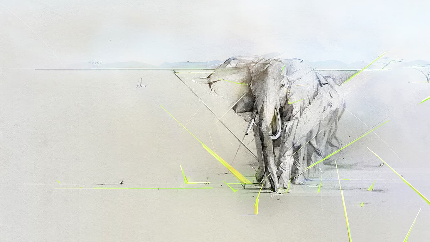 Elephant wallpaper illustration for HP notebooks