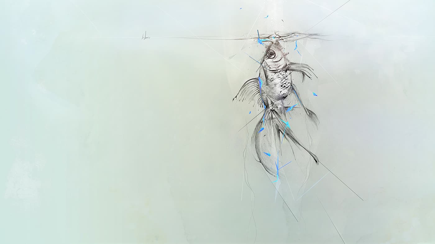 Fish Feast wallpaper illustration for HP notebooks