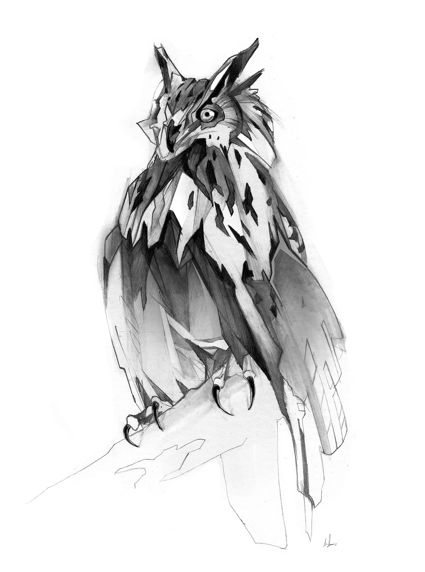 Graphite owl drawing created for the 4FRNT Hoji W ski artwork.