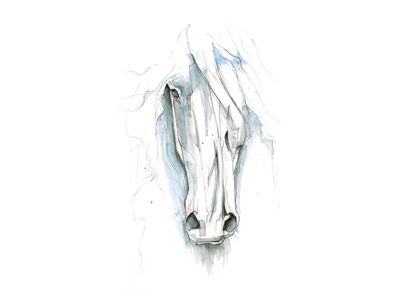 Early horse head sketch