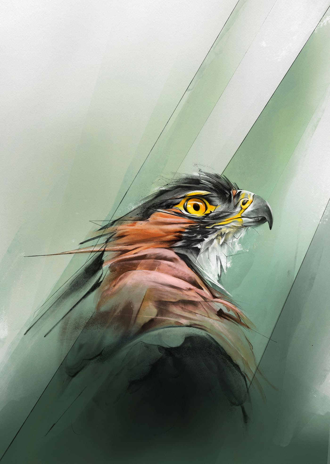 Hawk portrait with muted green colour
