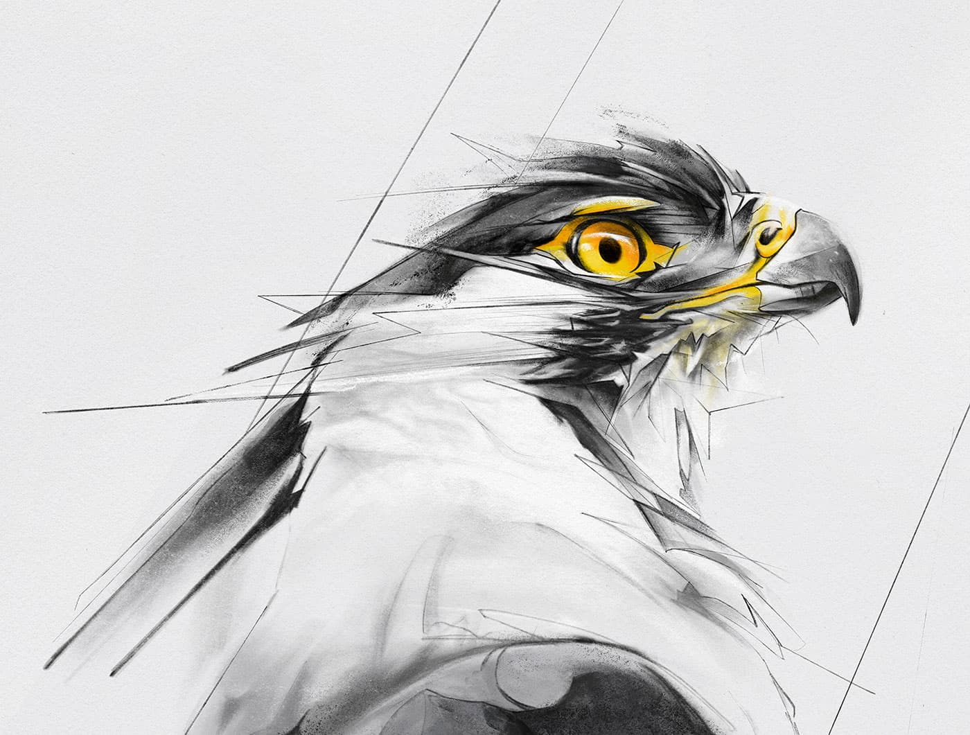 Hawk head study with yellow accents