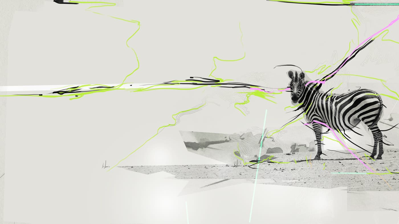 Zebra within an abstract composition with neon line accents.