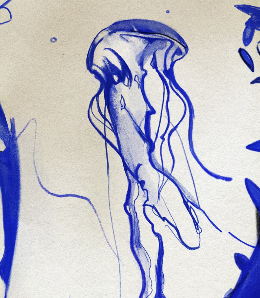 Blue sketch of a jellyfish with long flowing tentacles on textured paper