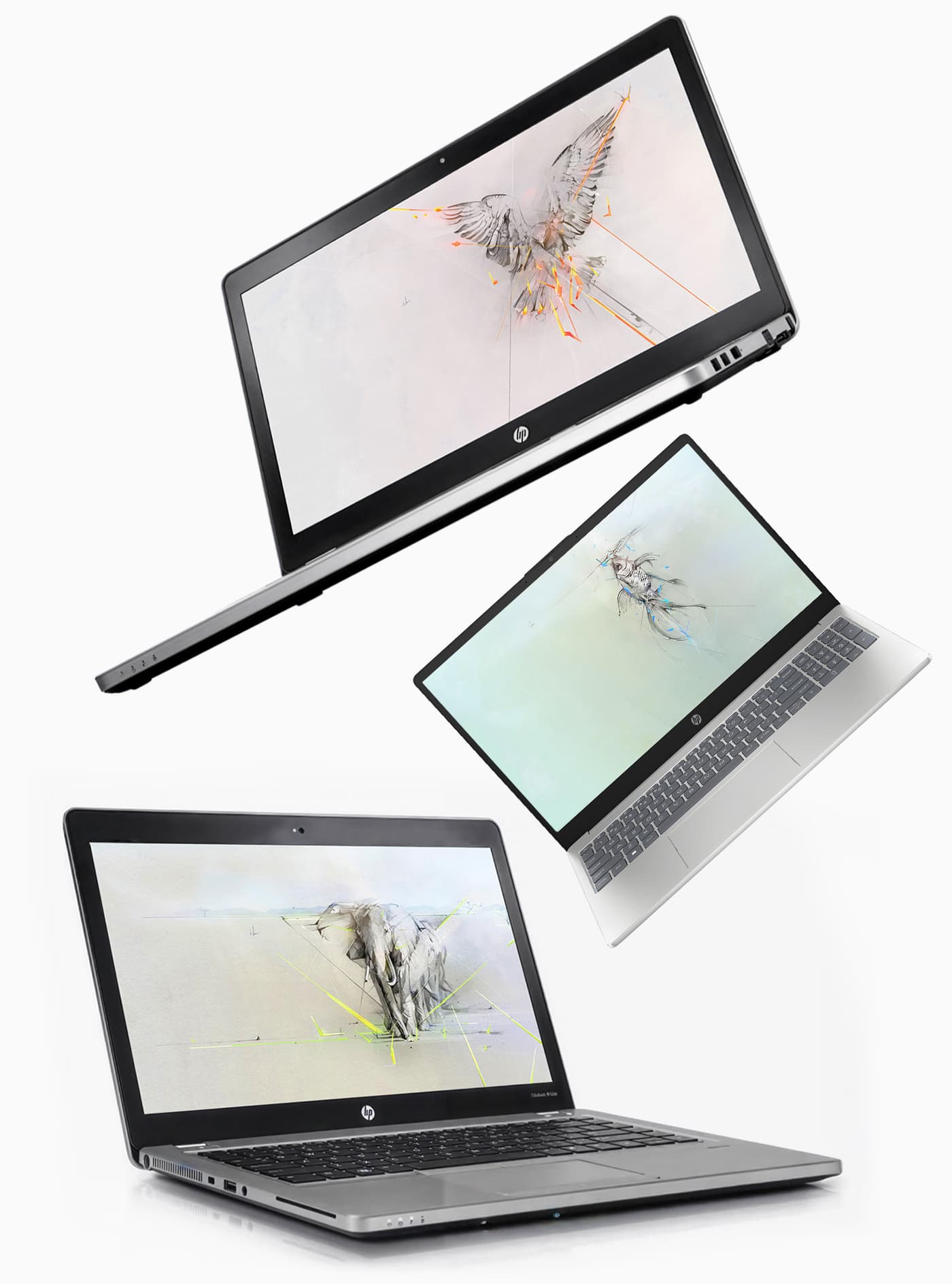 Three HP laptops displaying bird, fish and elephant illustrations