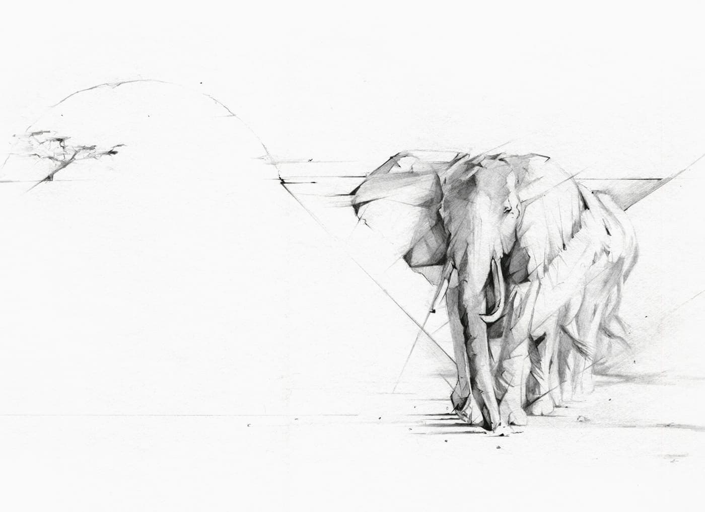 Elephant illustration in a sparse landscape with subtle pencil linework