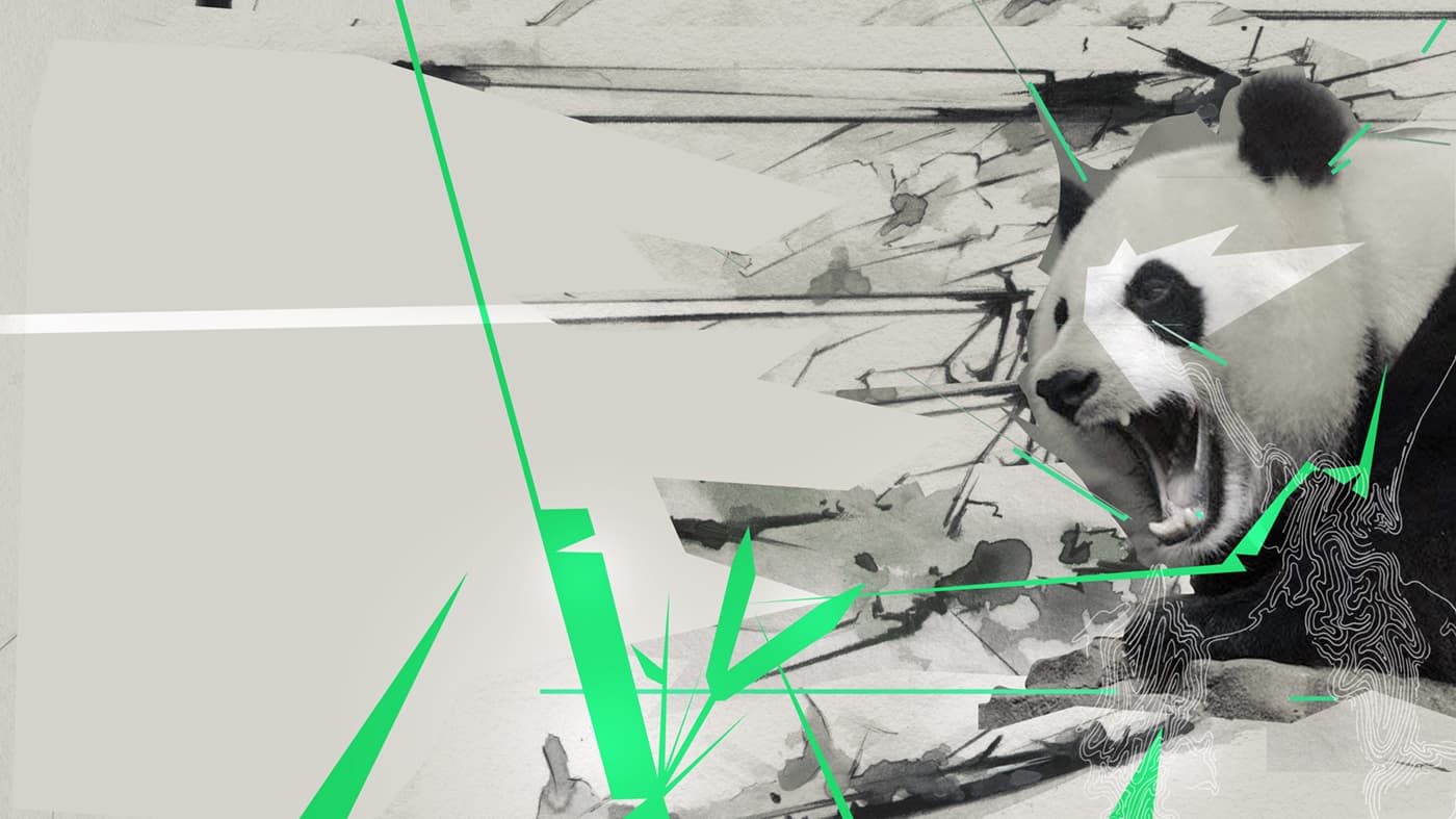 Giant panda within an abstract black, white and green composition.