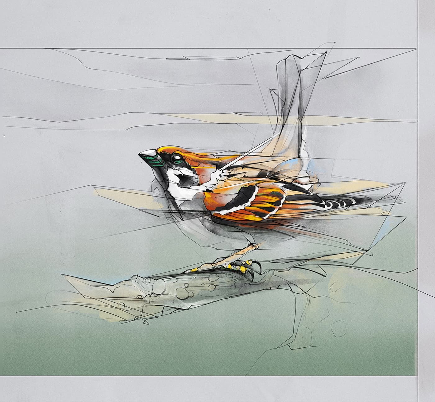 Small bird sketch with orange and black markings
