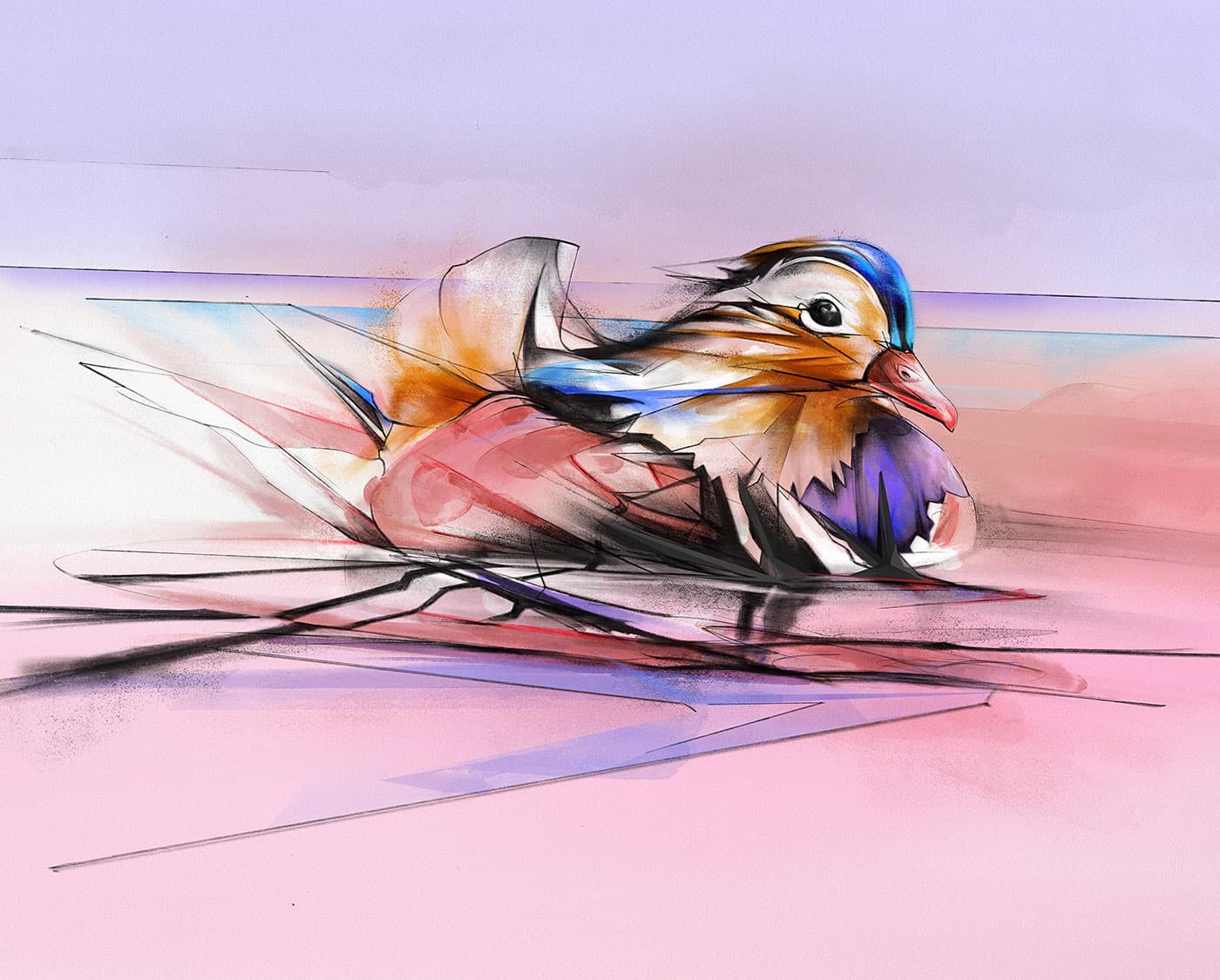 Mandarin duck with soft colour