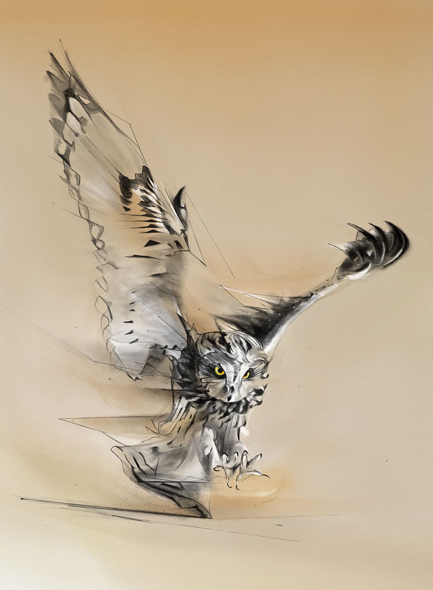 Owl in flight with muted colour