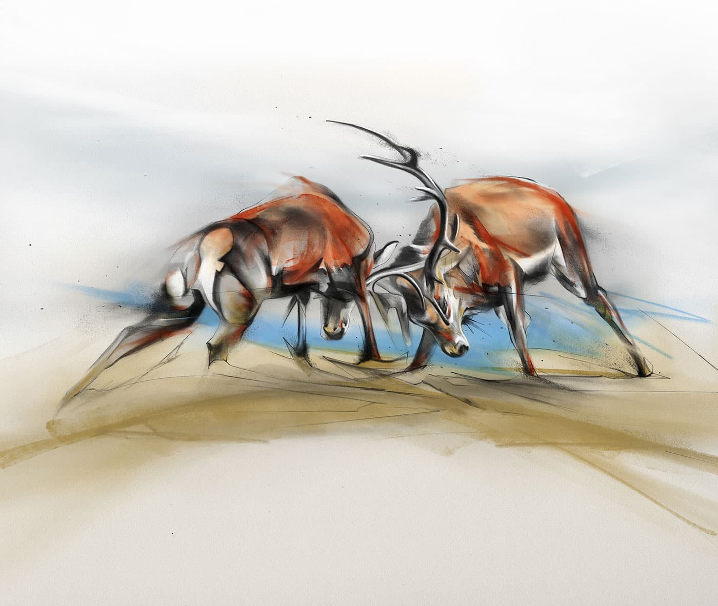 Two stags locking antlers
