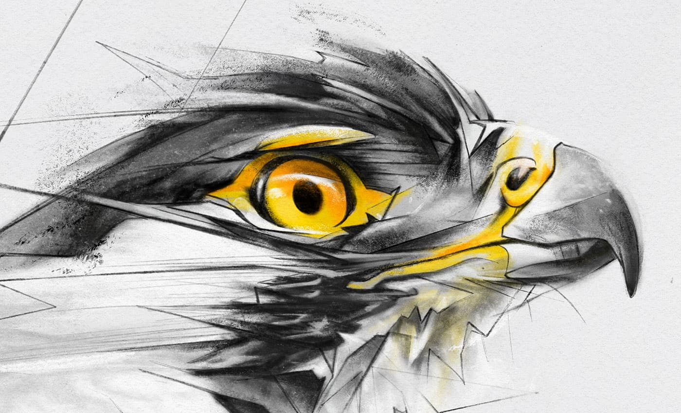 Hawk head study with yellow accents