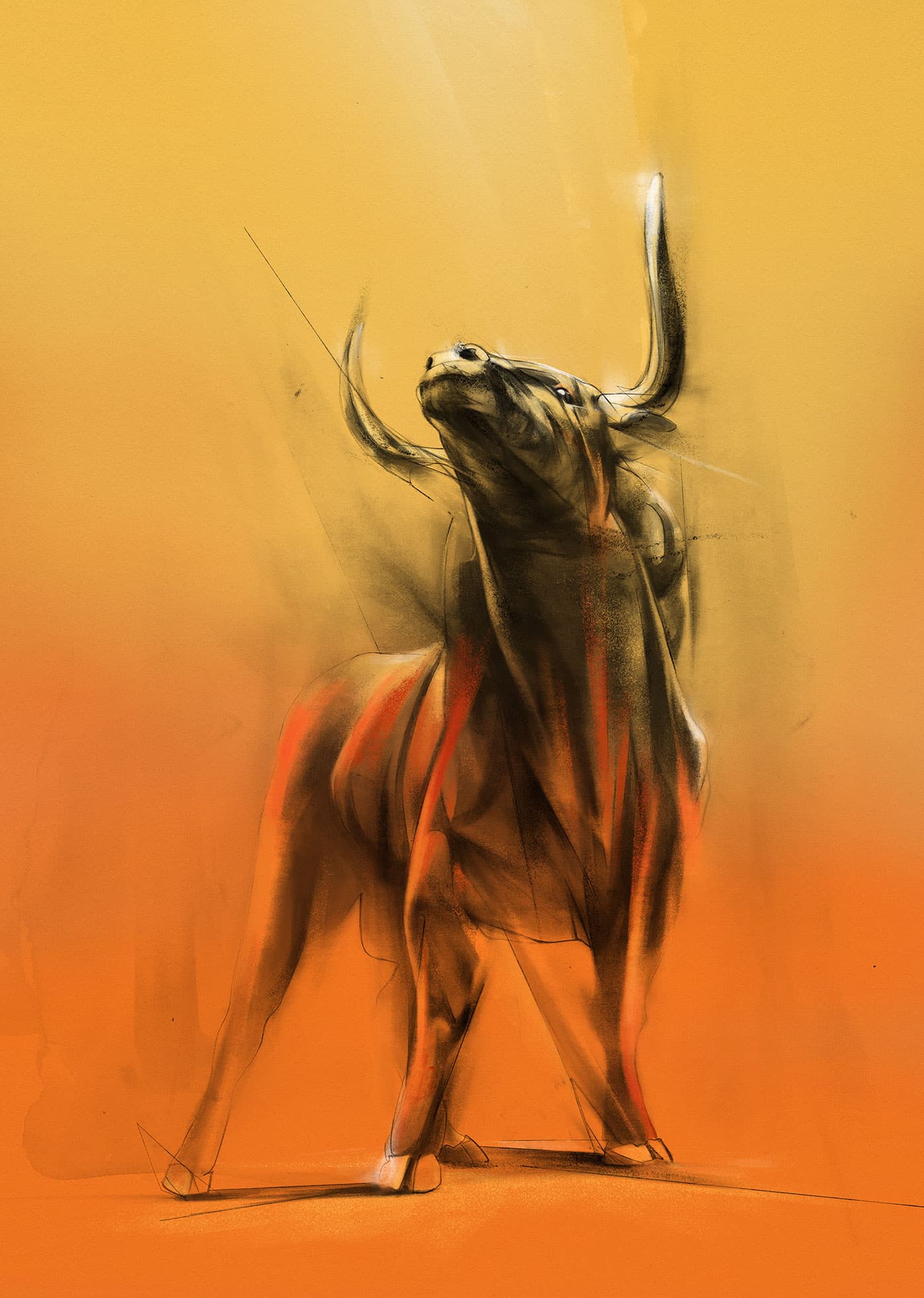 Bull on orange background